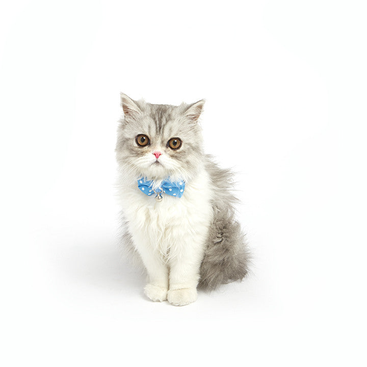 Polka Dot Bow Tie Collar