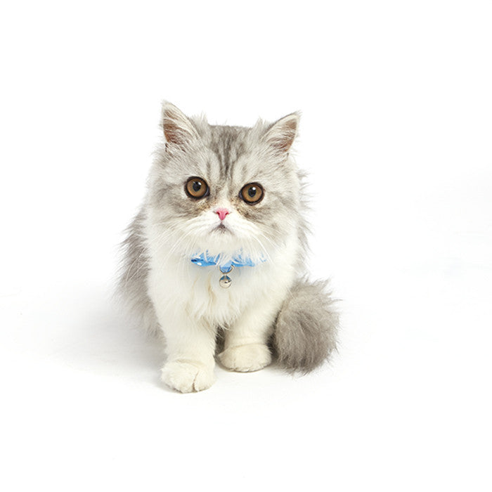 Polka Dot Bow Tie Collar