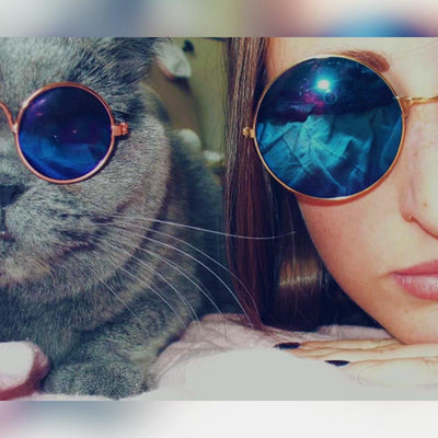 Kitty Hippie Sunglasses