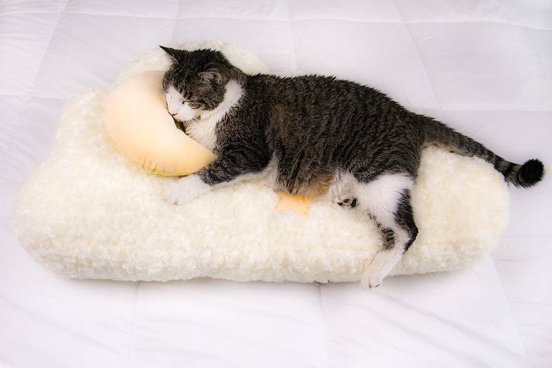 Luxe Cloud Cat Bed
