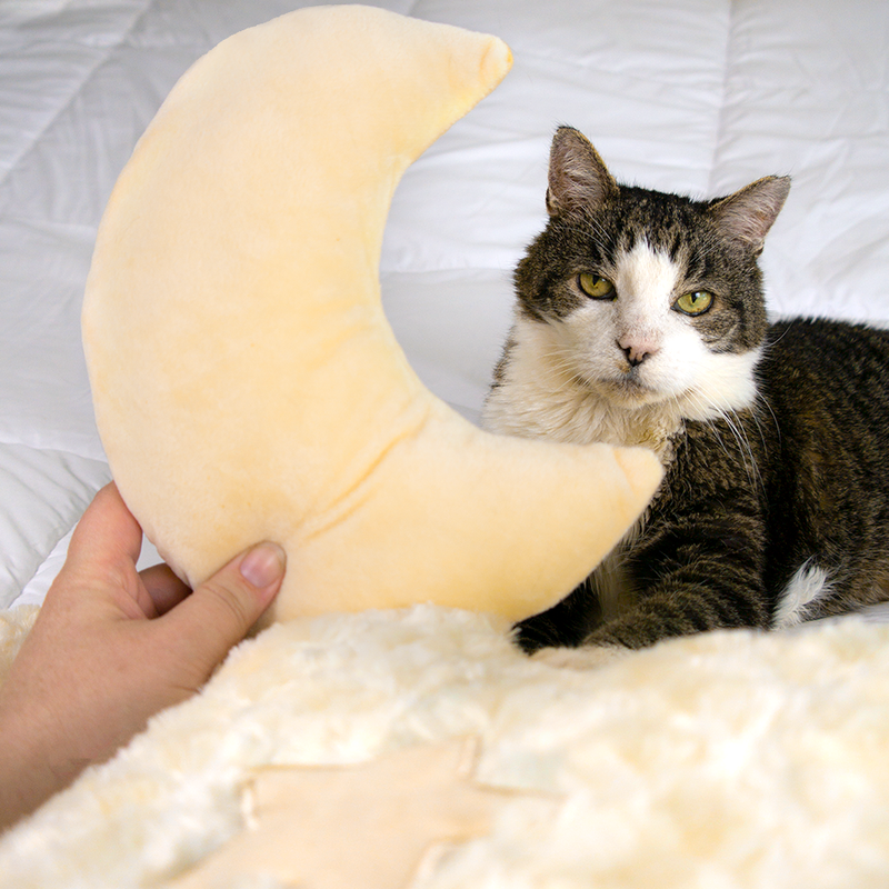 Luxe Cloud Cat Bed