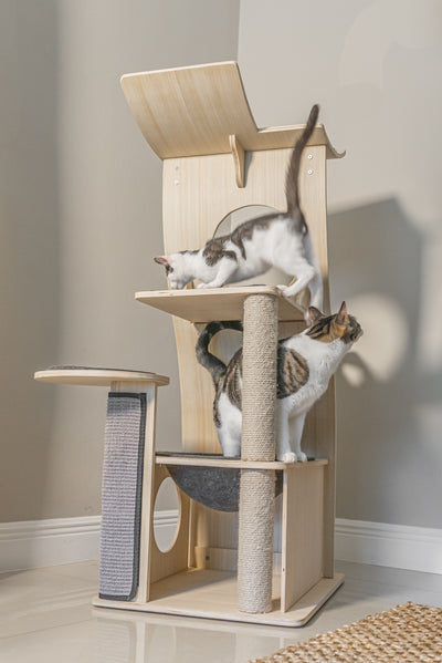 Jungle Gym Cat Tree 2.0