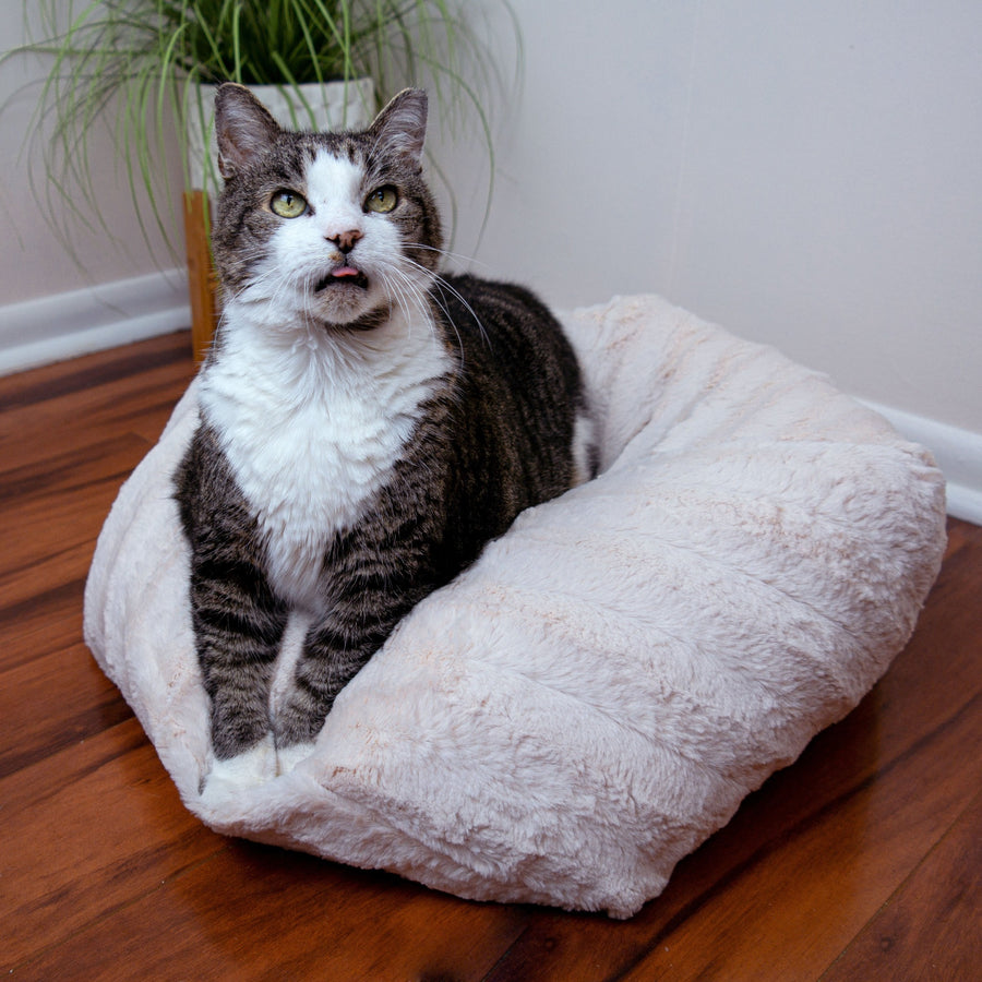 Cute Cat Beds Your Cat Will Actually Use Meowingtons