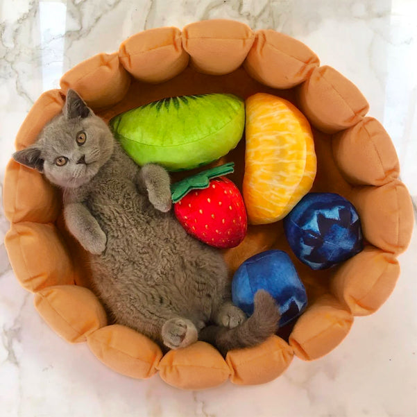 memory foam fruit tart cat bed with fruit shaped pillows