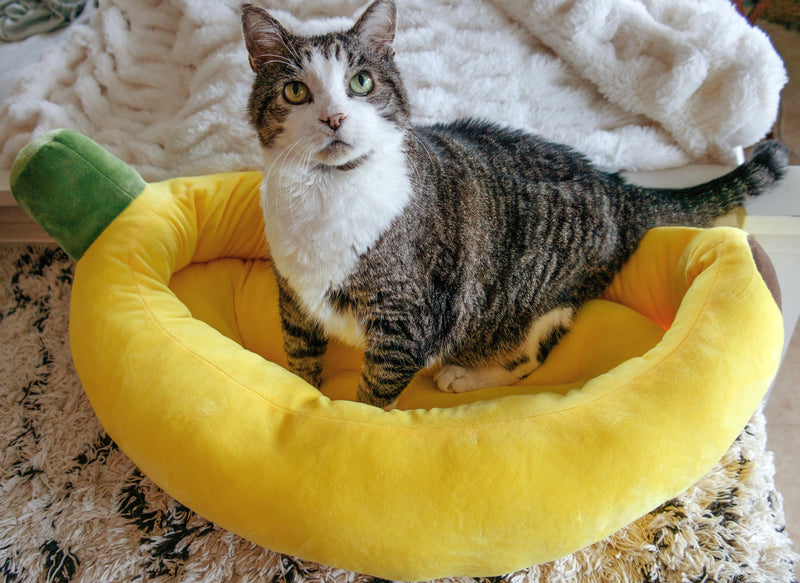 Banana Cat Bed