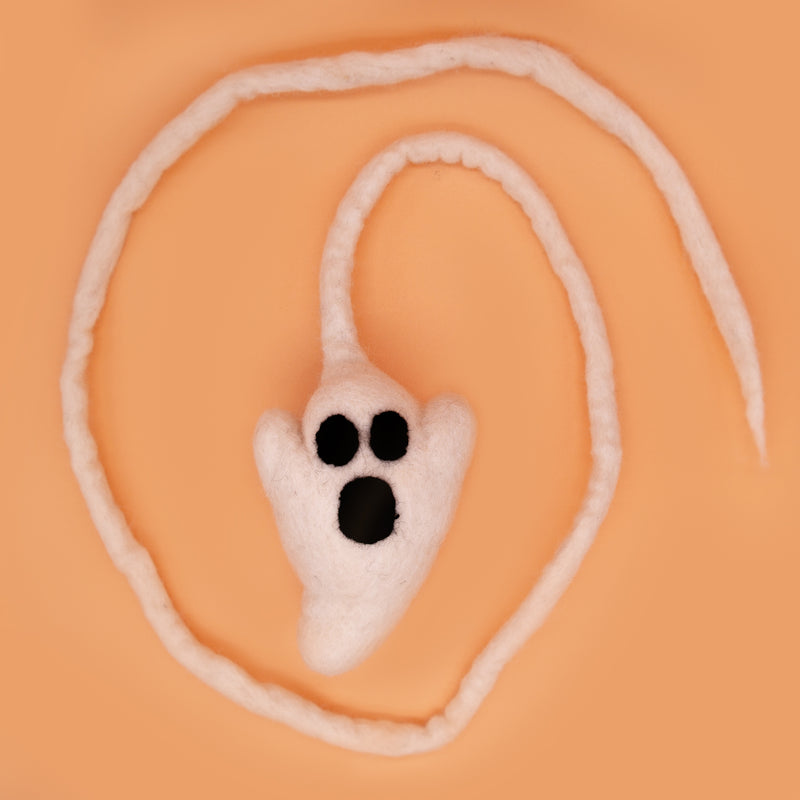 Organic Wool Ghostly Halloween Cat Toy