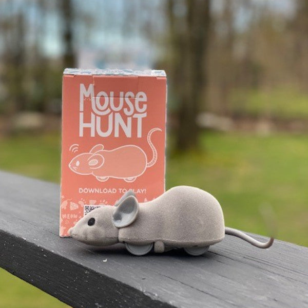 Mouse Hunt Robot Cat Toy App Controlled