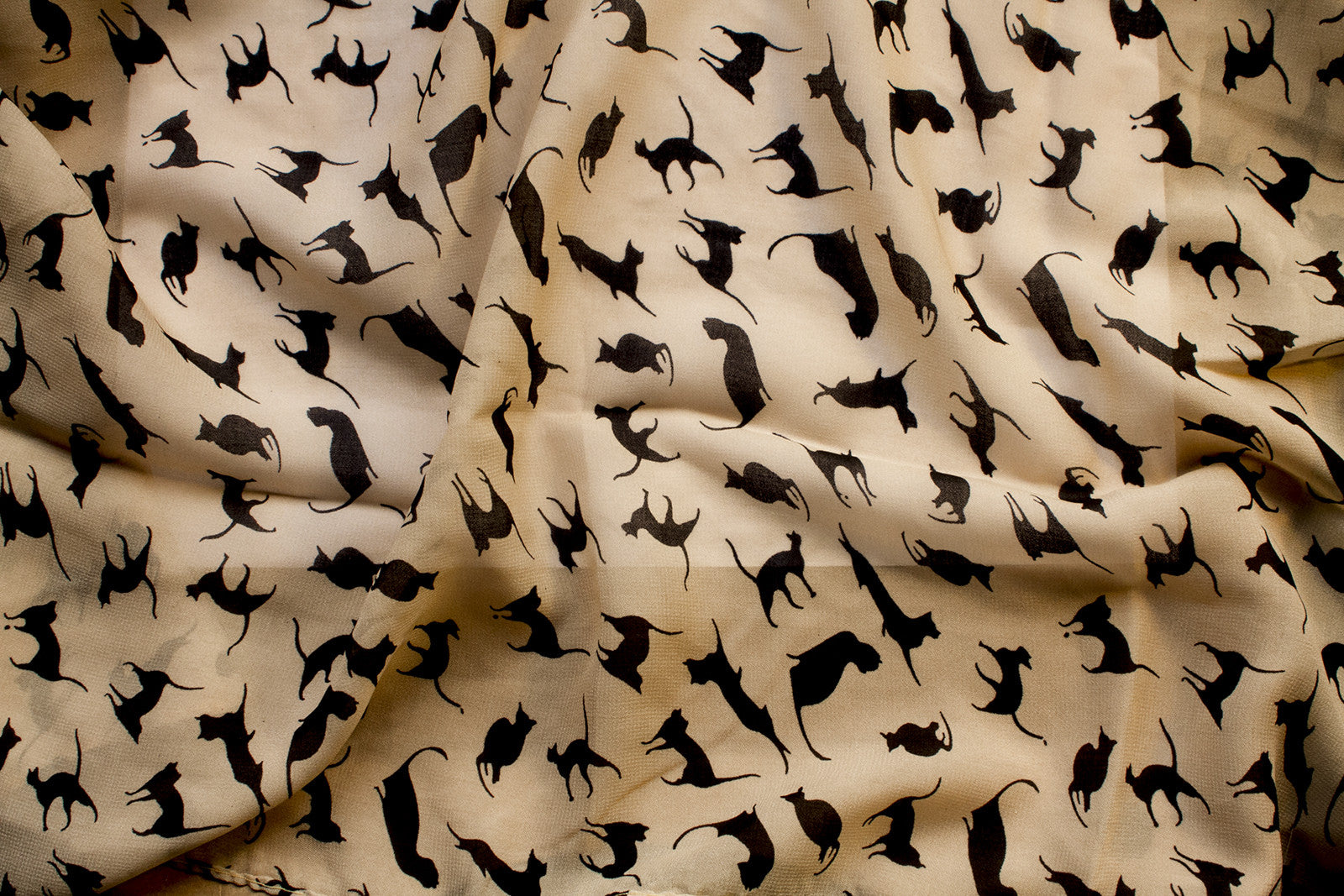 Clowder Cat Print 100% Chiffon Scarf Wrap – Meowingtons