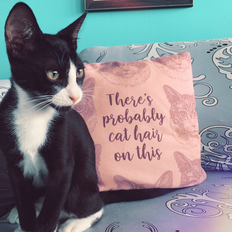 Cat throw pillow clearance covers