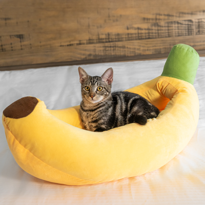 banana shaped cat bed with tabby cat