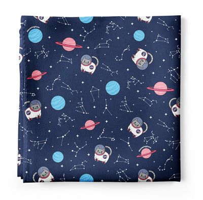 Space Cats Silk Bandana Scarf Featuring Milton