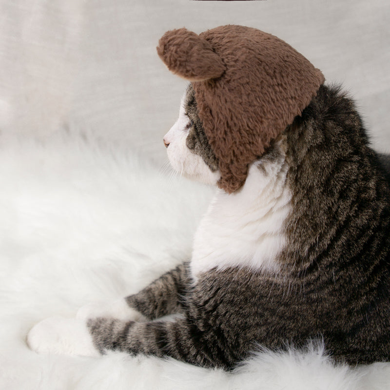 Teddy Bear Hat Cat Costume