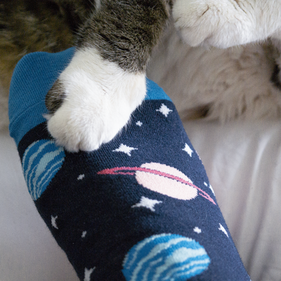 Mix & Match Meowter Space Cat Socks (3-Pack)