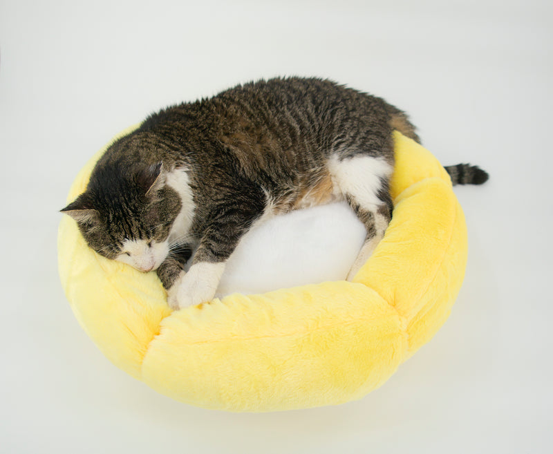 Summer Sun Cat Bed