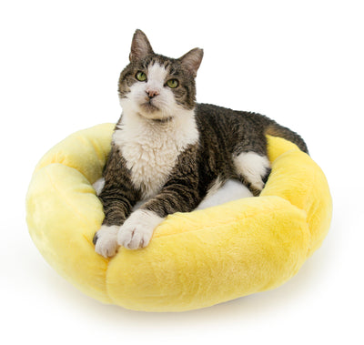 Summer Sun Cat Bed