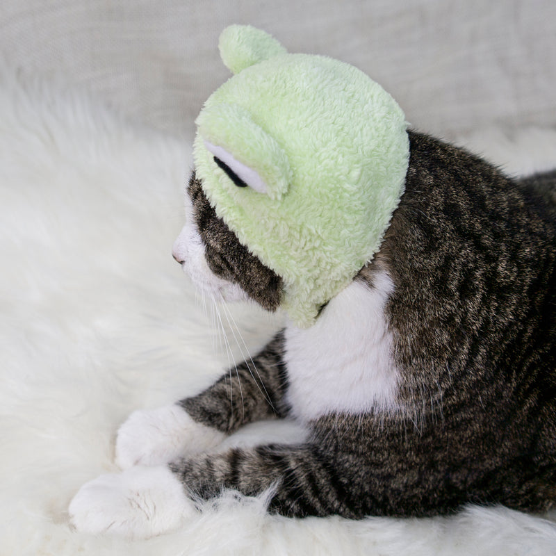 Be Hoppy Frog Hat Cat Costume