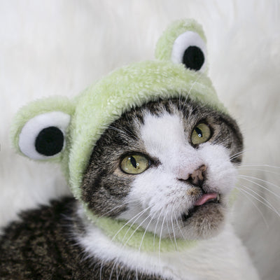 Cat Hat Costume Bundle