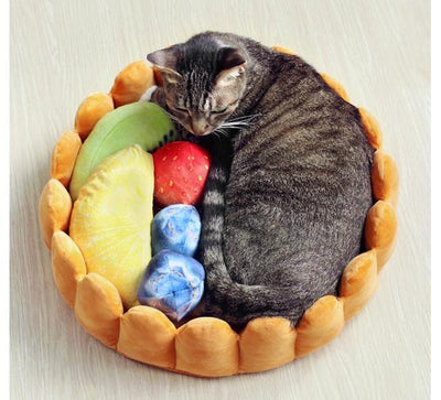 Cat sleeping inside a plush fruit tart cat bed
