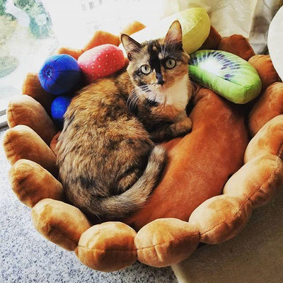 Fruit Tart Cat Bed