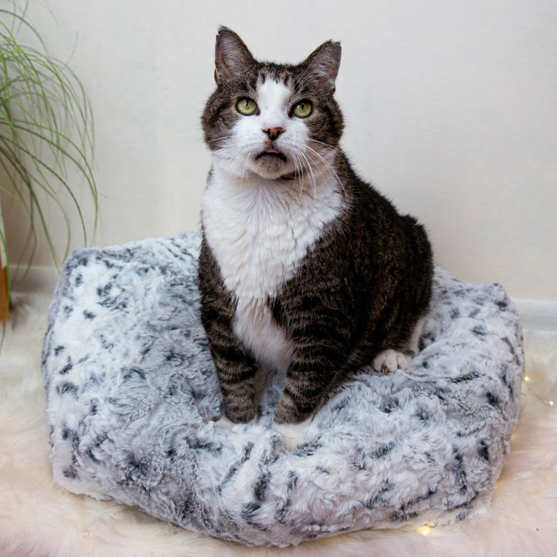 Snow Leopard Luxe Pouf Cat Bed