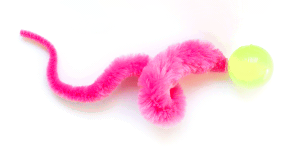 Cat Toys