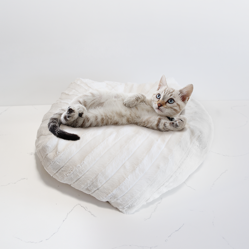 Cat pouf bed online