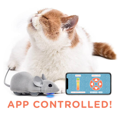 Mouse Hunt Cat Toy App Controlled