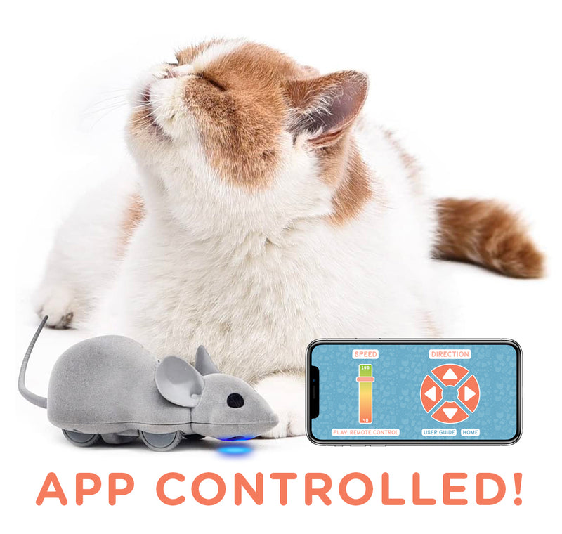 Mouse Hunt Cat Toy App Controlled