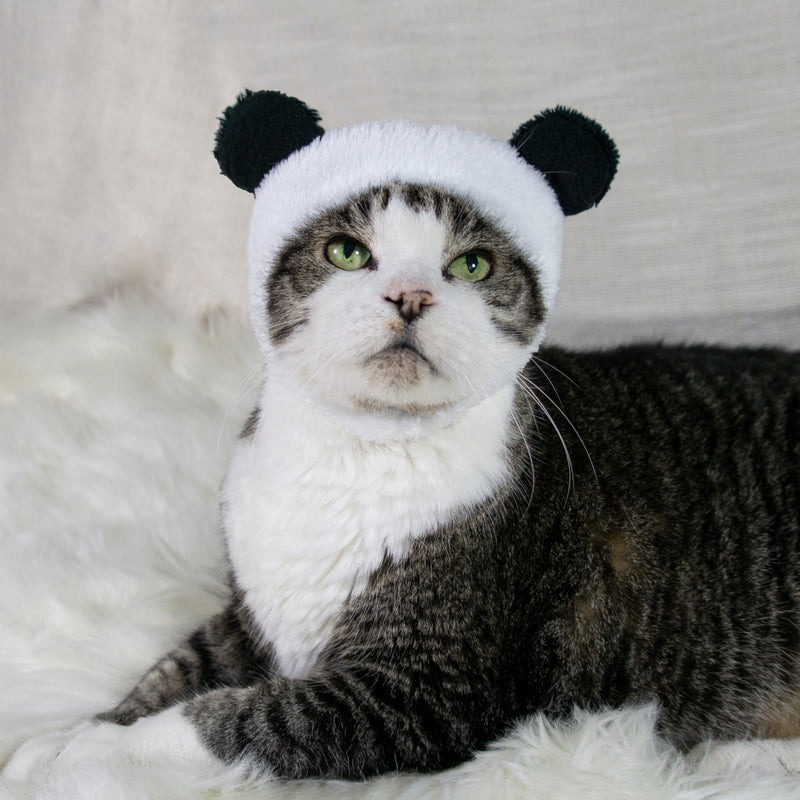 Panda Bear Hat Cat Costume