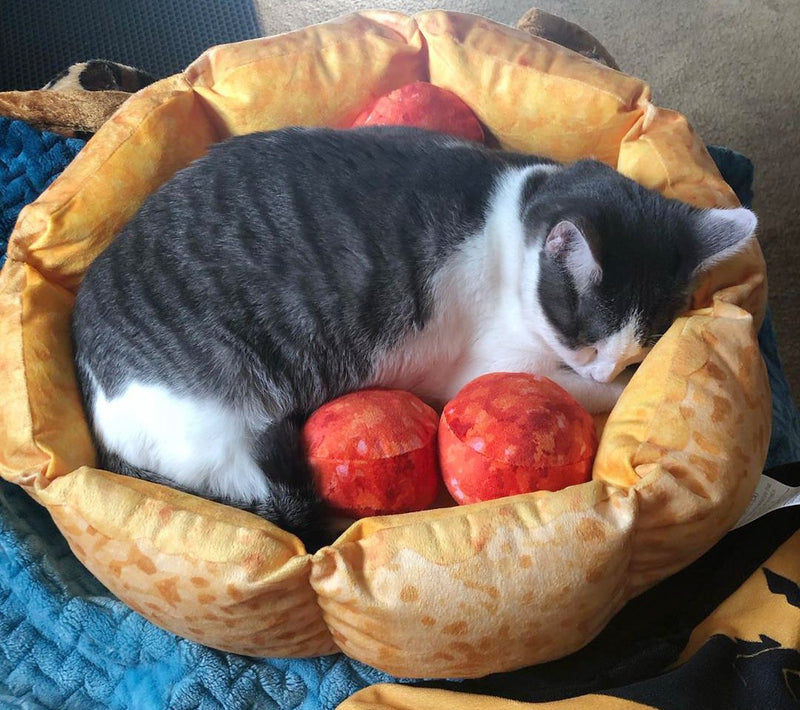 Cute Pizza Cat Bed