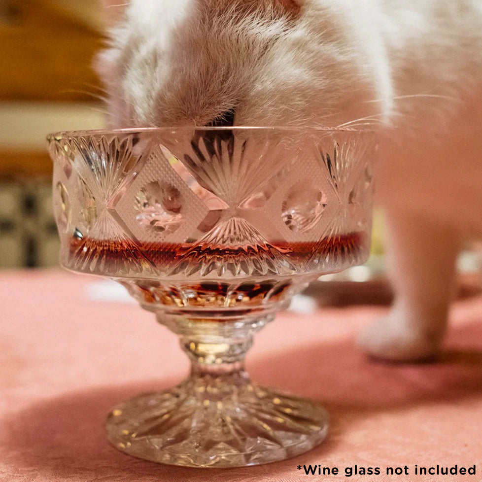 Cat Wine Bubbles Pawty Pack, PetWineShop